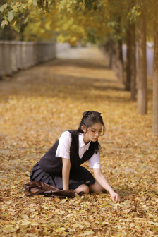 图书馆的女朋友第5季分集星辰